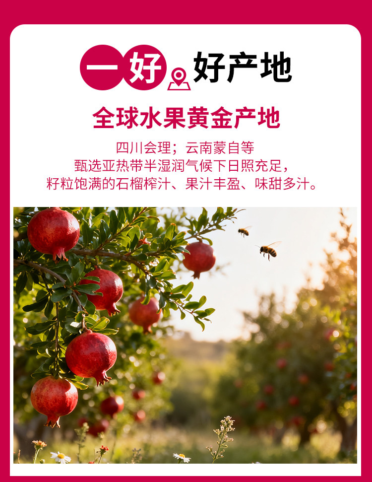 安享好物 安享A级果汁-福兰农庄100% NFC石榴汁 国标 