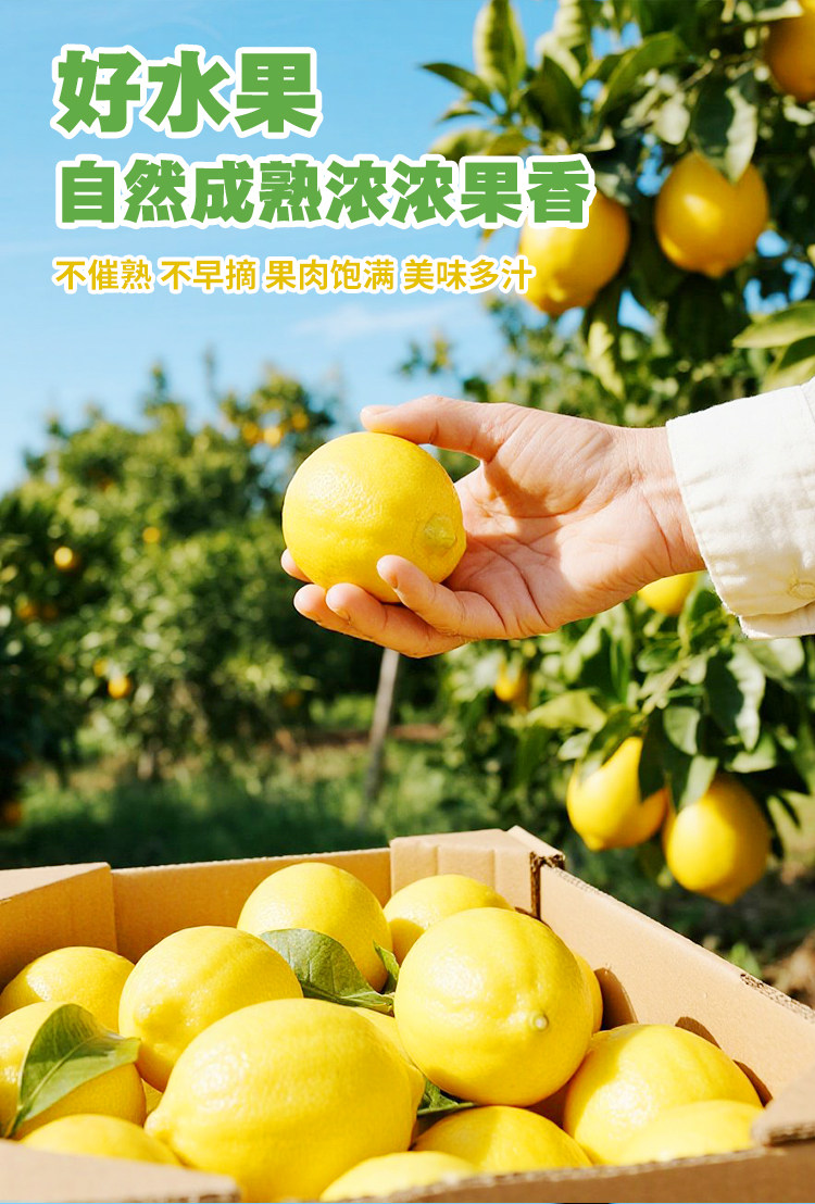 安享好物 安享E级果汁-福兰农庄冰冻柠檬水  