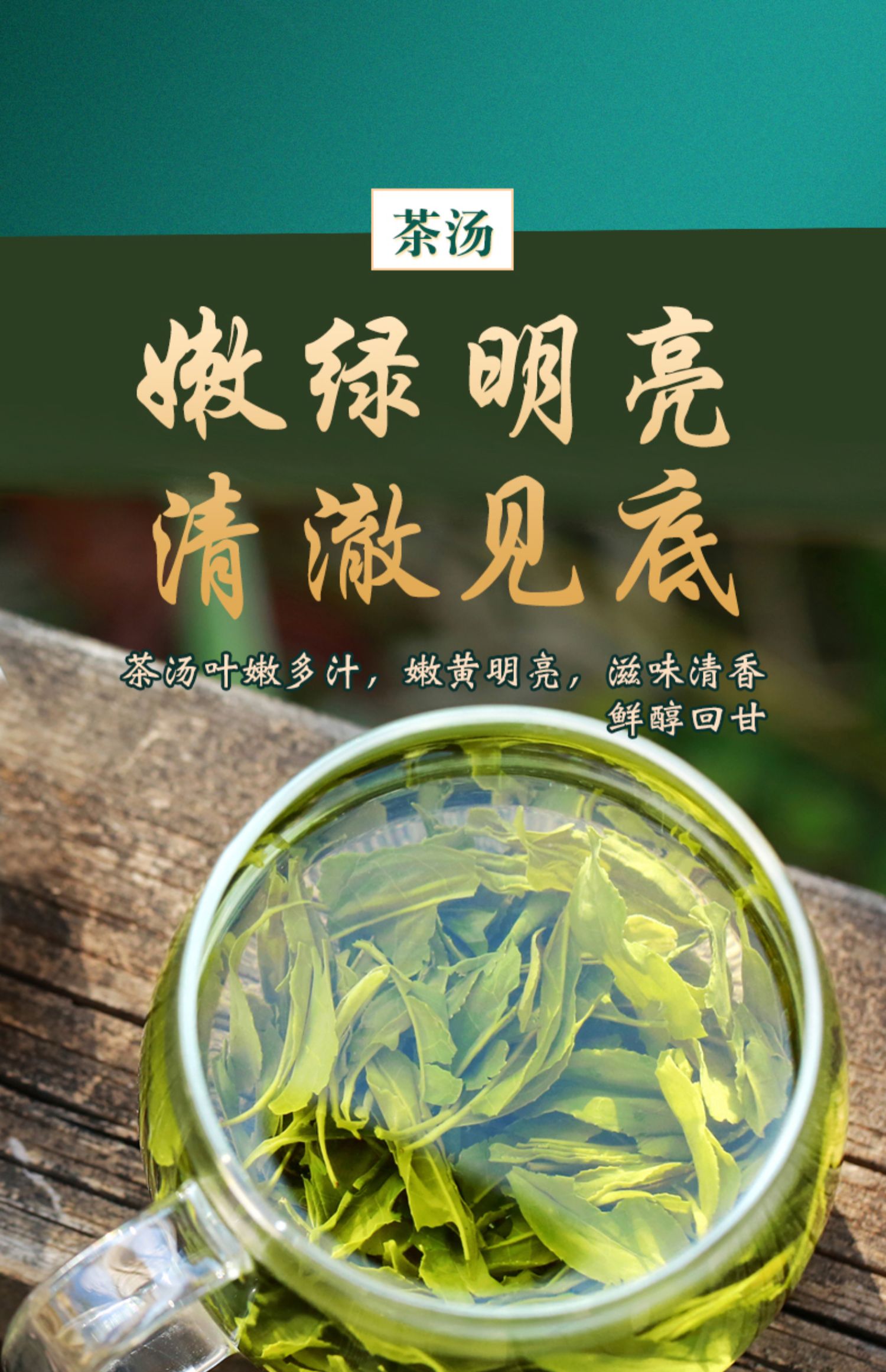 2021明前高山云雾绿茶100g