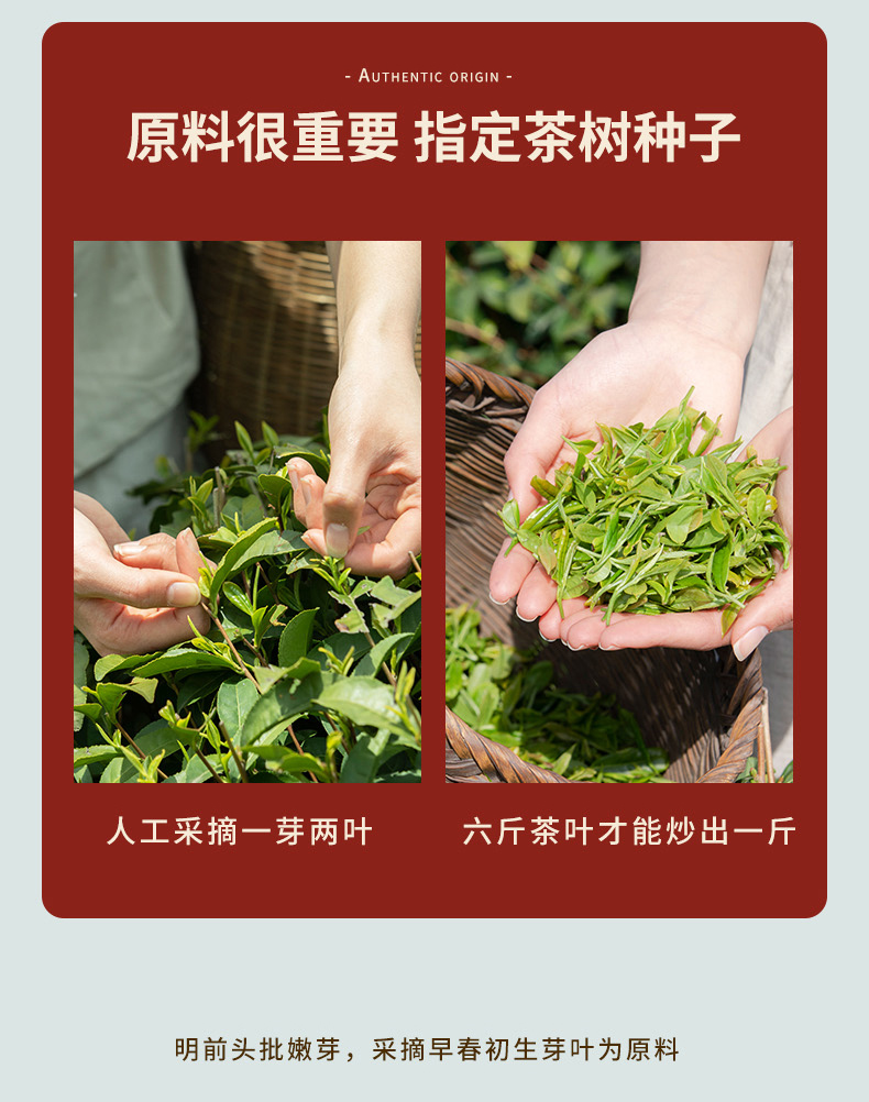 2021明前高山云雾绿茶100g