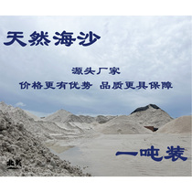 Artificial beach landscaping sand Beihai Silver Beach natural sea sand fine sand fish tank sand childrens toy sand pet sand