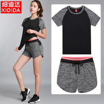 Summer sports suit women loose comfortable large size fitness suit quick dry yoga suit shorts running professional sportswear