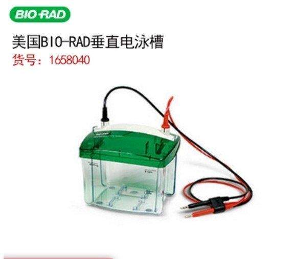 bio-rad垂直电泳转印槽外壳1658040美国伯乐原装正品 非通用国产