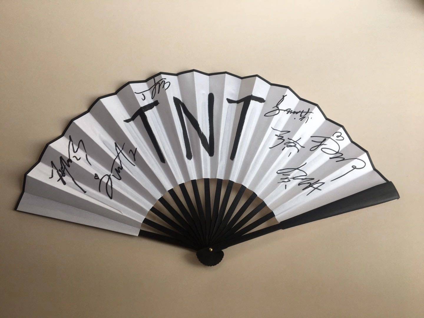 Times Teen Group Pro-Pen Signature Folding Fan Star Signature Fidelity