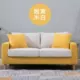 .Kiểu đôi sofa căn hộ nhỏ sofa net người nổi tiếng cửa hàng đồ uống lạnh ở nhà dân bản xứ quầy lễ tân tiếp tân sofa vải - Ghế sô pha