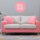 .Kiểu đôi sofa căn hộ nhỏ sofa net người nổi tiếng cửa hàng đồ uống lạnh ở nhà dân bản xứ quầy lễ tân tiếp tân sofa vải - Ghế sô pha