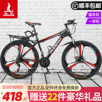 Phoenix brand bicycle mens and womens mountain bike adult youth 24 26 inches with rear shelf rear seat load racing car