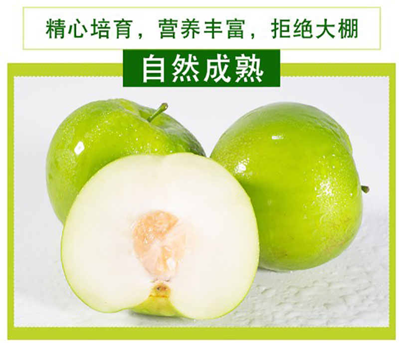 云南牛奶青枣 5斤 新鲜现摘 图4