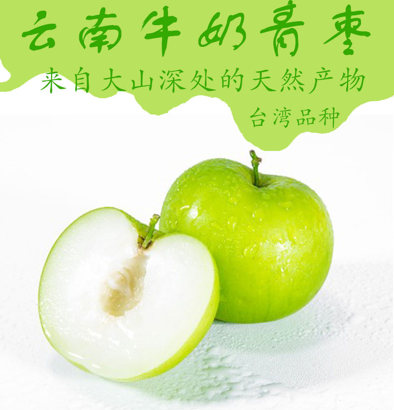 云南牛奶青枣 5斤 新鲜现摘 图1