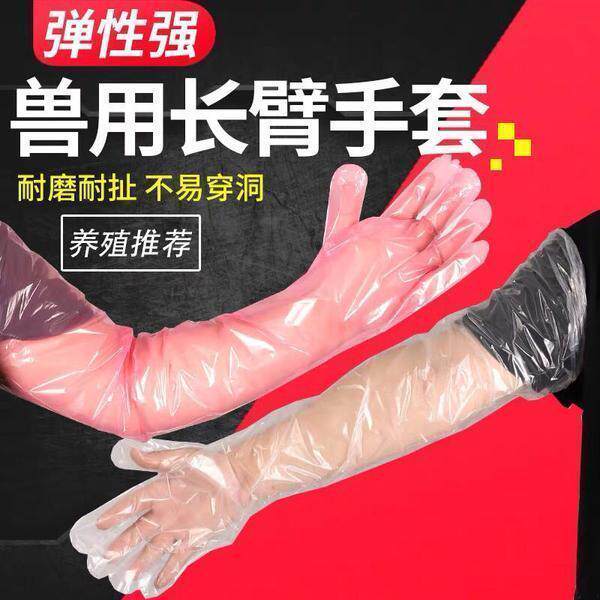 Beast with disposable long-arm glove thickened goat cow with midwifery glove Long wall anal vet to check delivery gloves 
