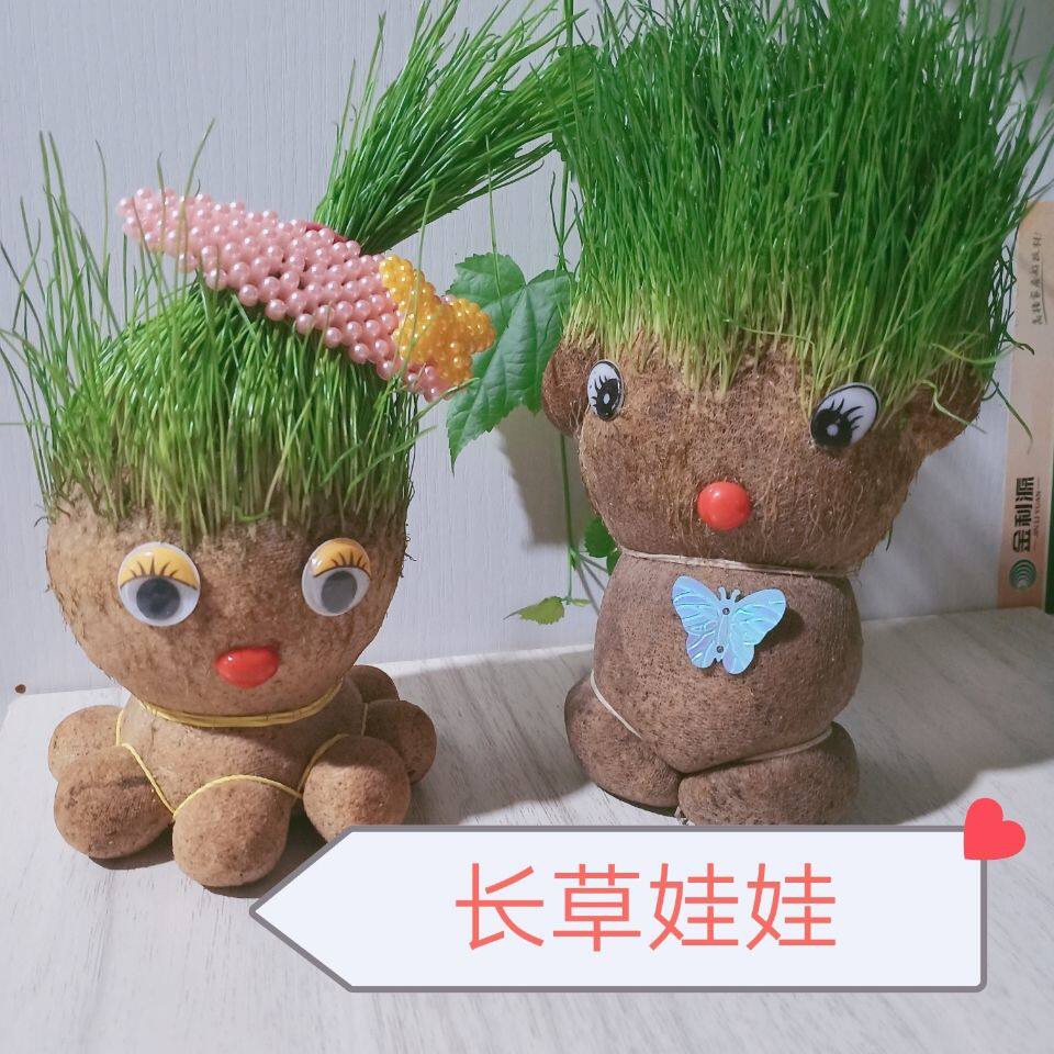 Creative Grass Head Dolls Desktop Mini-Radiation-Resistant Little Potted Cartoon Office Green Grass Planting Children Gifts 