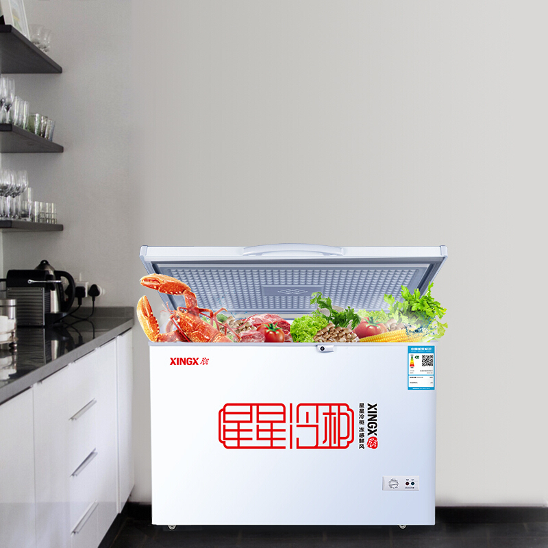 XINGX star BD BC-219E 305E freezer large freezer horizontal single temperature freezer with lock commercial top open