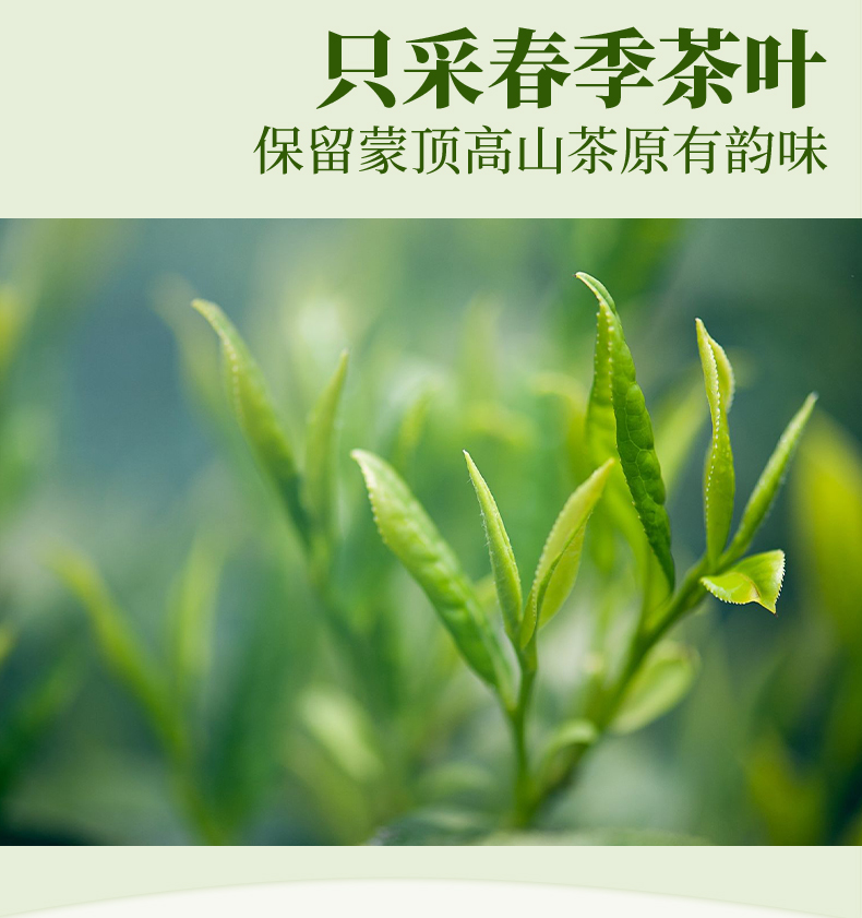 【天蜀】2021蒙顶上新茶绿茶