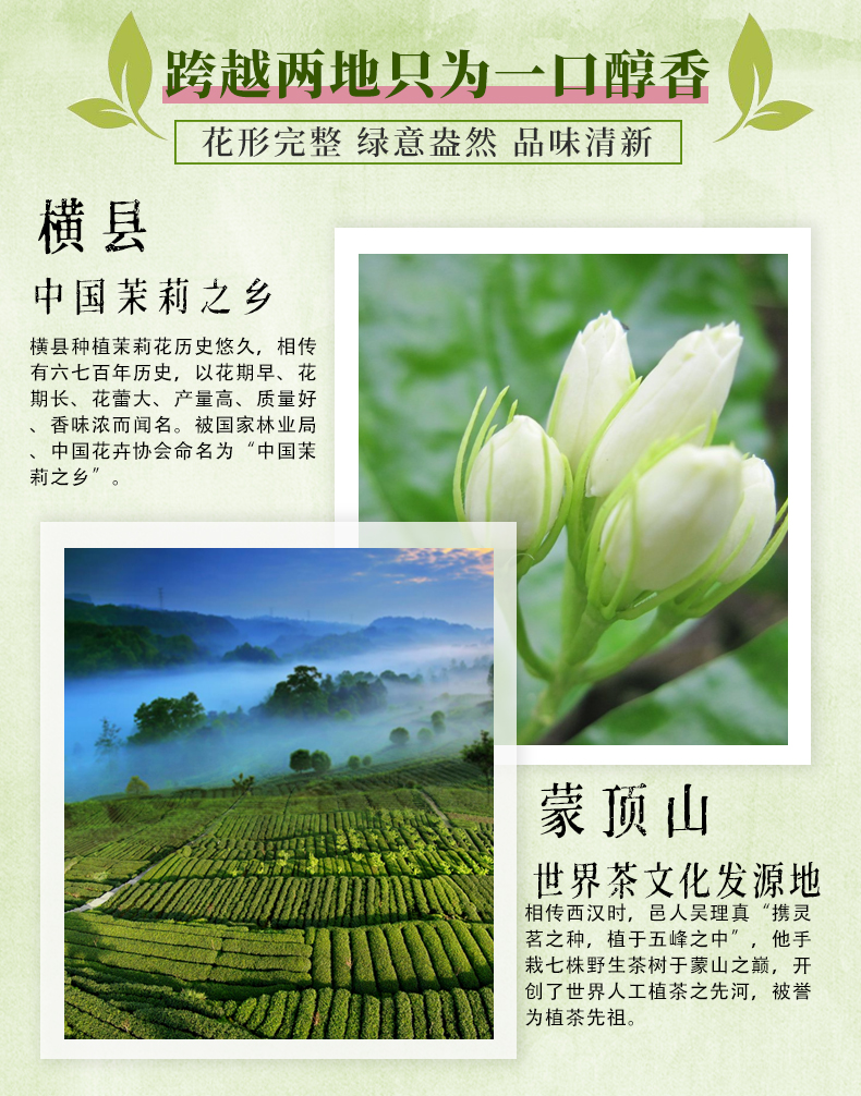 天蜀 蒙顶山茉莉花茶 50g 蒙山毛峰绿茶+横县茉莉花 图9