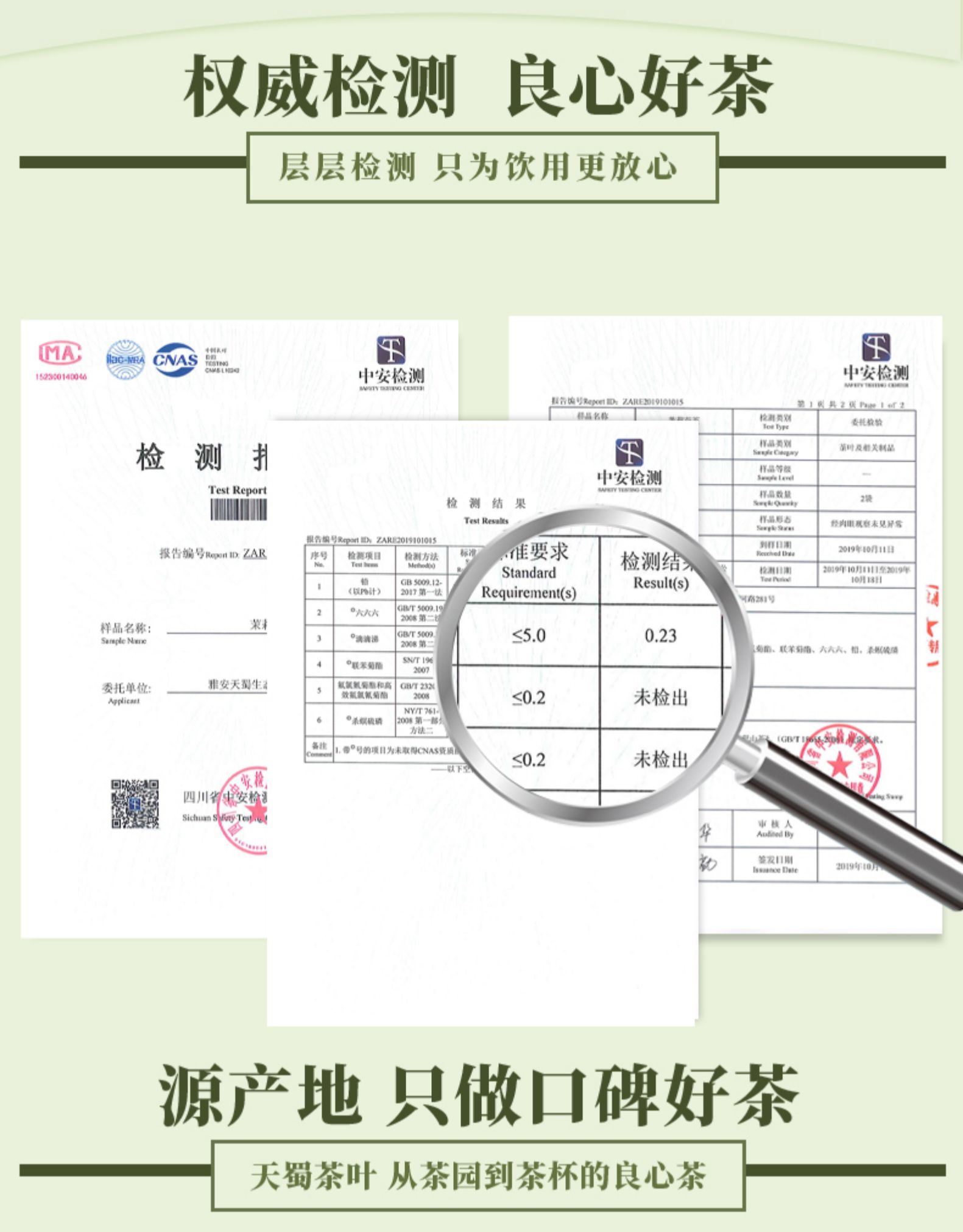 天蜀 蒙顶山茉莉花茶 50g 蒙山毛峰绿茶+横县茉莉花 图18