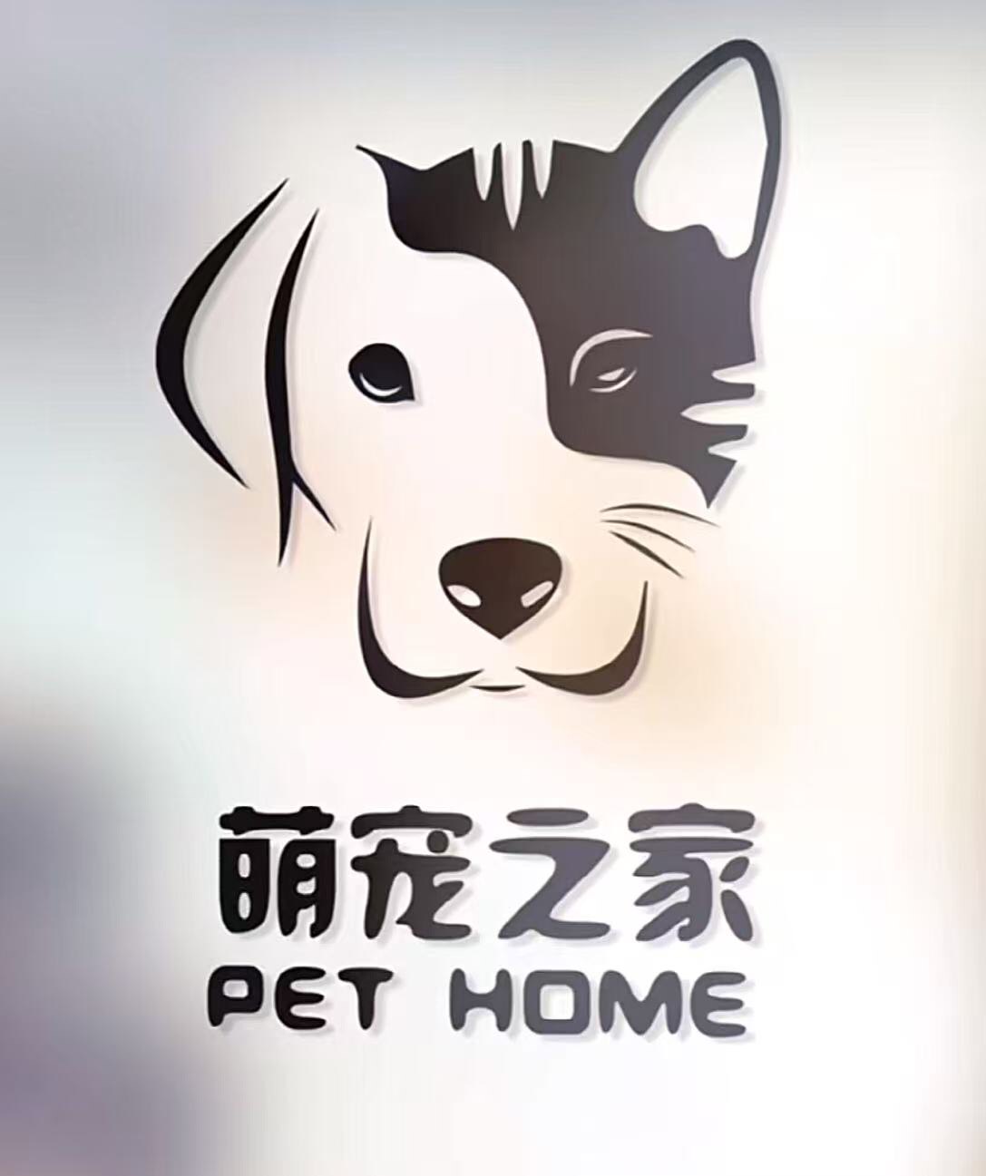 香猫宠物屋