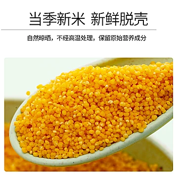 鲜小米黄金苗小米杂粮食2斤