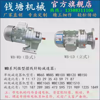 WB65 85 100 120 micro cycloid needle wheel reducer vertical and horizontal with three-phase 380V micro speed reducer