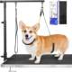 Pet Grooming Arm Dog Grooming Stand, Extendable, Height Adjustable, Foldable, Black Iron Frame