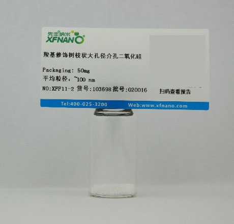 先丰纳米 羧基修饰树枝状大孔径介孔二氧化硅 XFF11-2