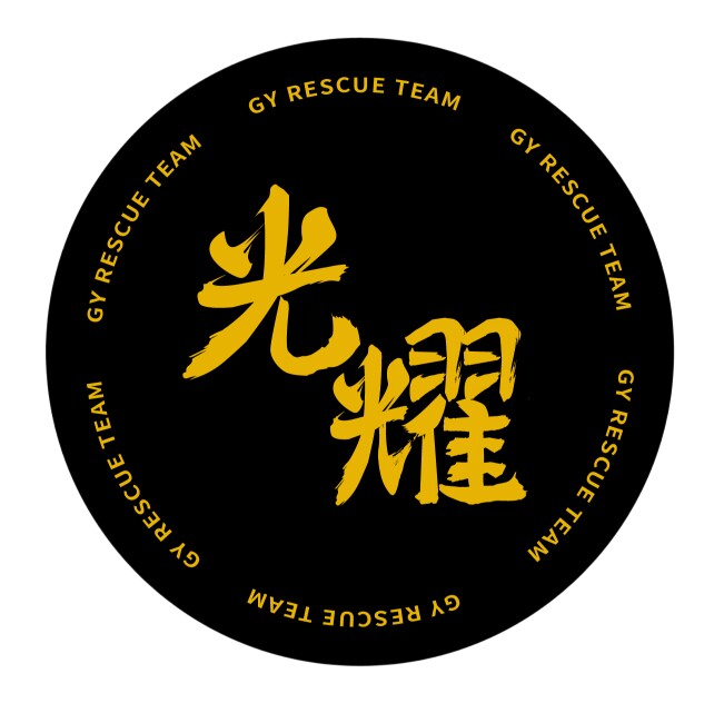 光耀和流浪毛孩子们