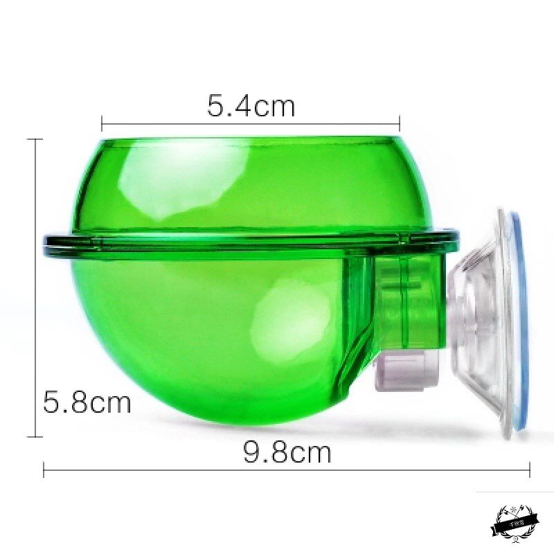 Crawling pet anti-escape food bowl Reptile chameleon keeps the palace eyelash angle feeder food bowl chameleon double basin