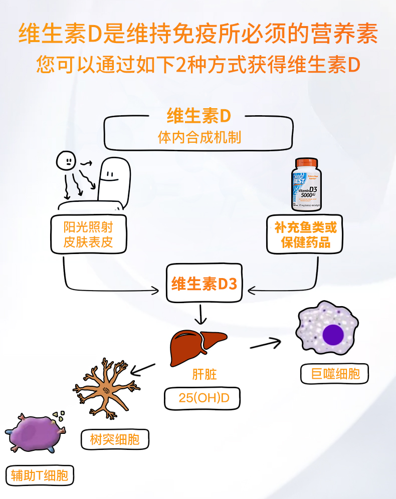 进口超市金达威多特倍斯维生素D3360粒