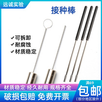 Copper-Made Edible Mushroom Inoculation Stick Cell Sampling Needle Microbial Inoculum Ring Single Strand Double Strand Experiment Inoculation Nickel Chrome Wire