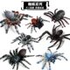 Children's Cognitive Toys, Simulated Animal Models, Insects, Solid Rainforest Black Spider, Tarantula, Bird-Eating Spider, Peacock Spider