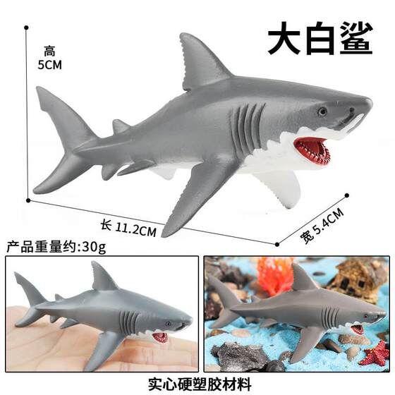 Children's Cognitive Toys Realistic Solid Marine Life Animal Model Great White Shark Toy Megalodon Shark Ornament