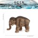 Children's Toys Simulated Wild Animal Model Long-Haired Elephant Mammoth Set Prehistoric Creature Static Ornaments Gift