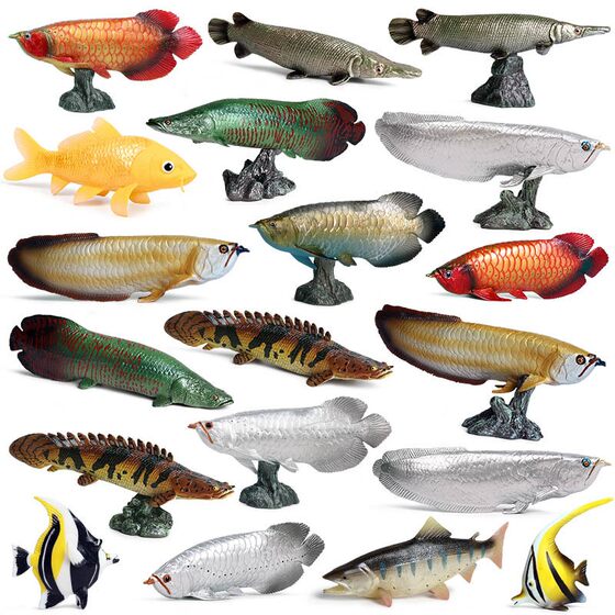 Children's Toys, Simulated Animal Models, Marine Freshwater Fish, Dragonfish, Salmon, Giant Snapper, Angelfish, Guppy, Eel