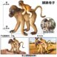 Children's Toy Cognitive Simulation Animal Model Solid Orangutan Monkey Ape Baboon Spider Monkey Long-Tailed Monkey Figurine