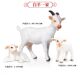 Simulated animal model children's toys lamb sheep goat set farm pasture ornaments baby early education cognition