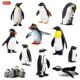 Children's Toys Early Education Cognitive Simulation Marine Animal Model Set Antarctic Penguin Emperor Penguin Solid Ornaments