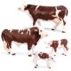 Children's Toys Realistic Simulation Wild Animal Models Poultry Ranch Farm Cow Ornaments Early Education Cognitive Toys