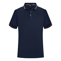 2011 Тибетский