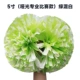 Matte White Mixed Apple Green (тип конкуренции) 5 -INCH 31 CM ОДИНСКАЯ Цена