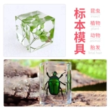 Эпоксидная смола, клей, силиконовая форма, комплект ручной работы, образец, «сделай сам»