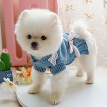 Teddy puppies wear clothes small dogs to blame matchmaking dog puppies for 2 months Bey teacup dog