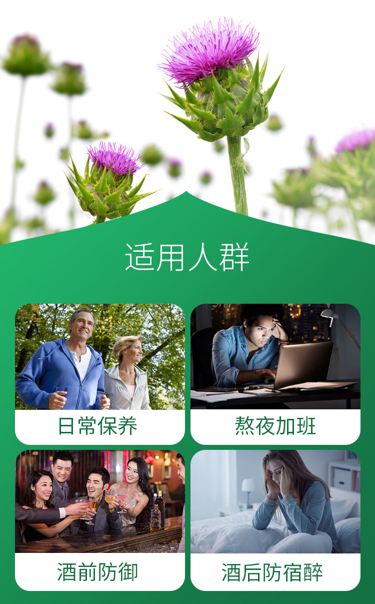 澳洲进口 FPA 澳药健康 奶蓟草水飞蓟护肝片 60粒 天猫优惠券折后￥119包邮（￥219-100）