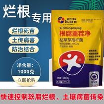 Watermelon re-cropping melon resistance to re-cropping dead trees re-cropping medicine special medicine for root rot anthracnose powdery mildew leaf spot