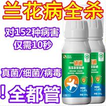 Special fungicide for orchid soft rot orchid disease treatment medicine orchid fungicide fungus bacterial virus disease black spot