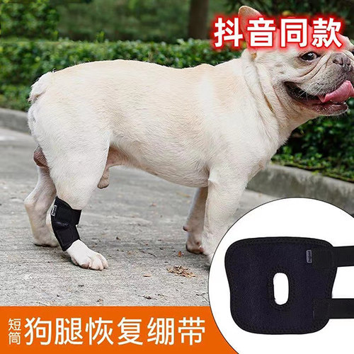 Dog leg-protected pen leg injury anti-licking joint fixation assist recovery of short leg bracket sheath
