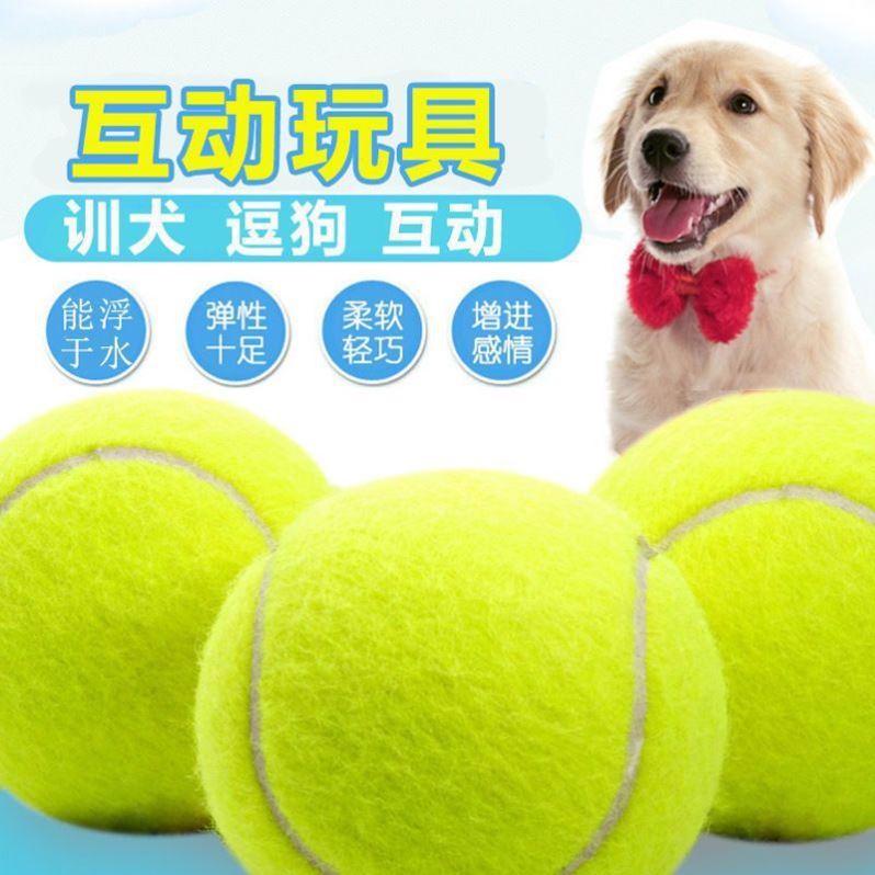 Pet Dog Toy Ball Bite Gold Mulla Brador Large Dog Grinding Flame Outdoor Training Tennis