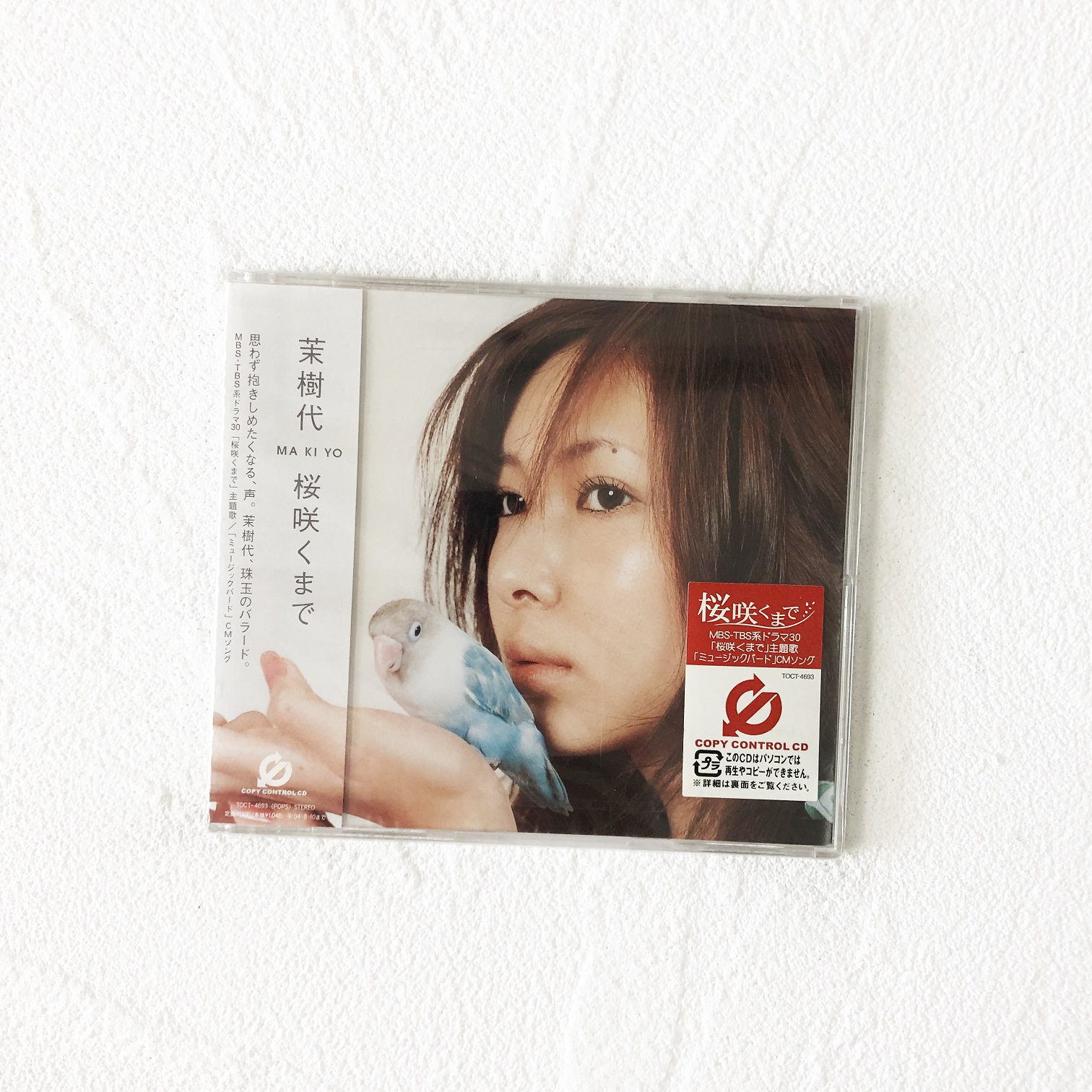 Spot Kawashima Maki Makiyo Sakurai Sakurai Sakura