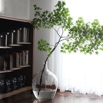 Hanging bell vase Nordic minimalist small mouth Big belly Belly Drunk Wood Glass Vase Flower Arrangement Hydroponi Bonsai Bottle Ground Large Container
