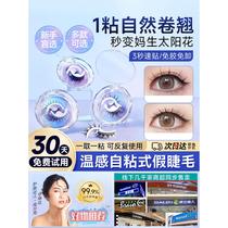 Glue-free false eyelashes self-adhesive one-piece eyelashes simulation reusable natural fairy style warm and comfortable for daily use