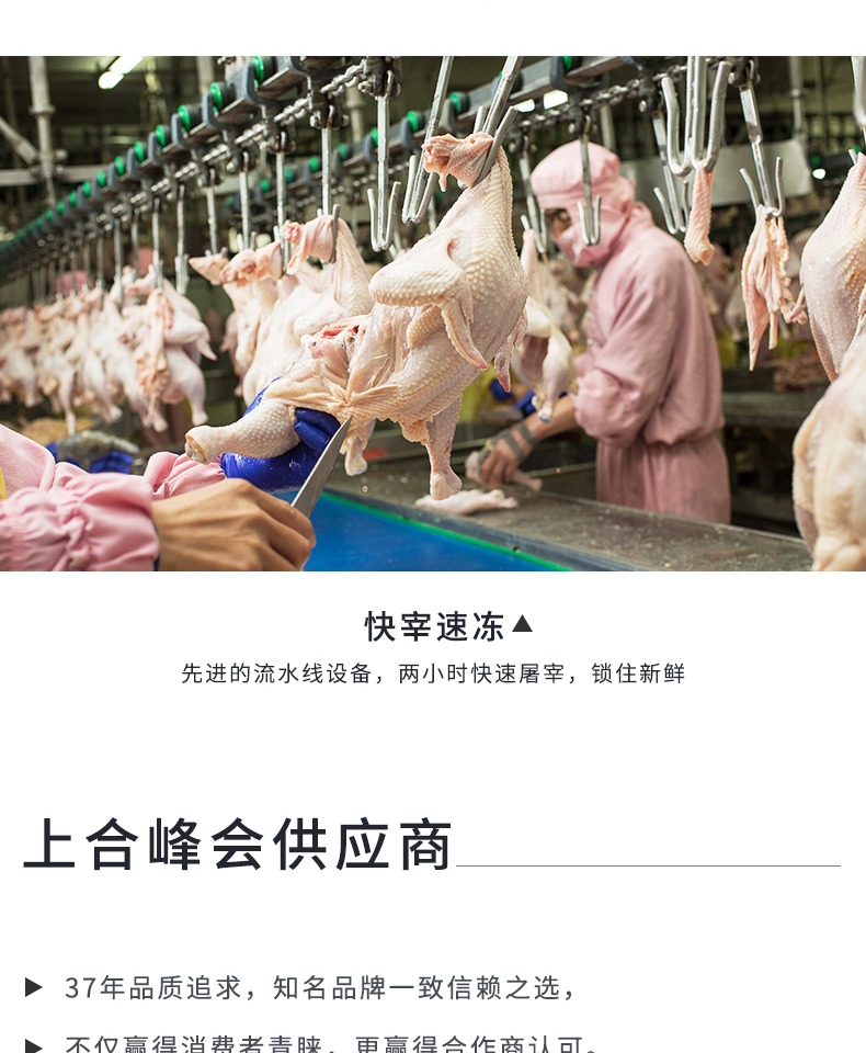 新希望旗下 六和 鸡膝软骨 掌中宝 1kg 图10