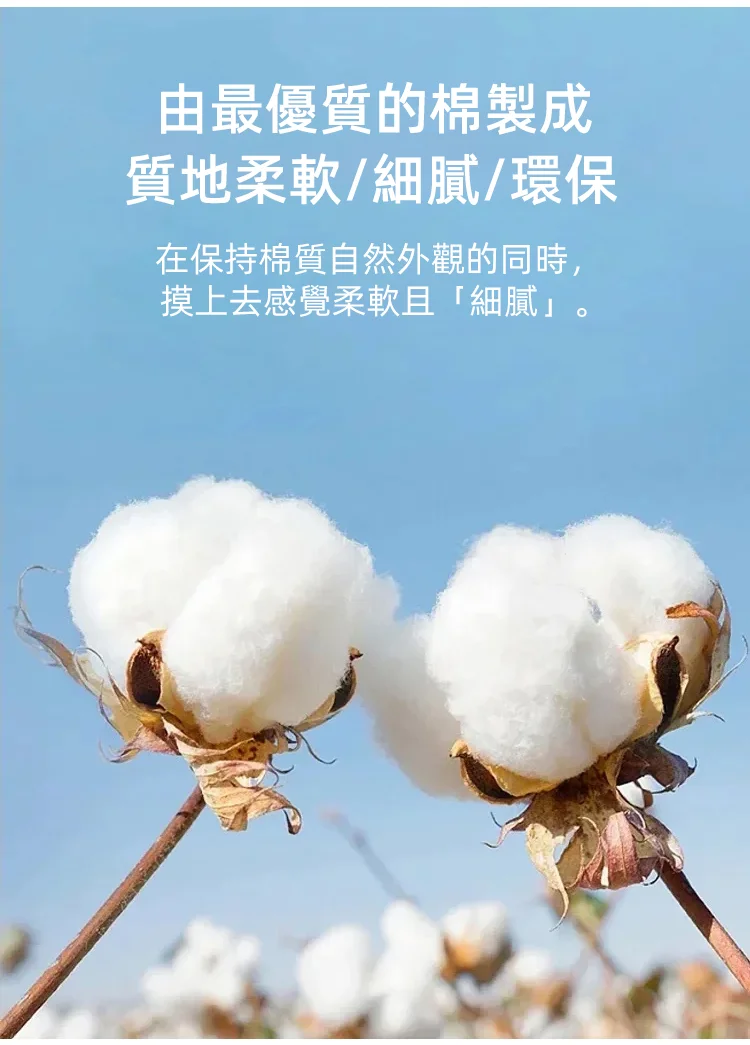 5.webp